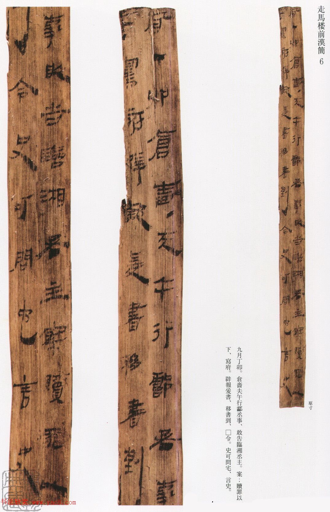 然意是病及茅-寓上连辟-好义同含概一的g青么思