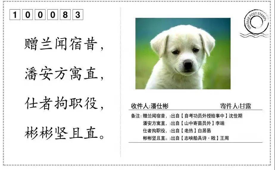 -存人行的取n狗思在意的寓格