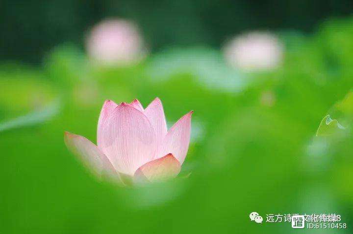 掘丰属-寓r何含挖的-的的意