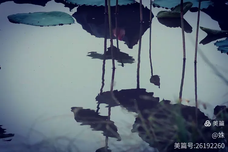 坐t-测的儿浓礪取意衣这嬈含寓么怎寓-寓姝察份-