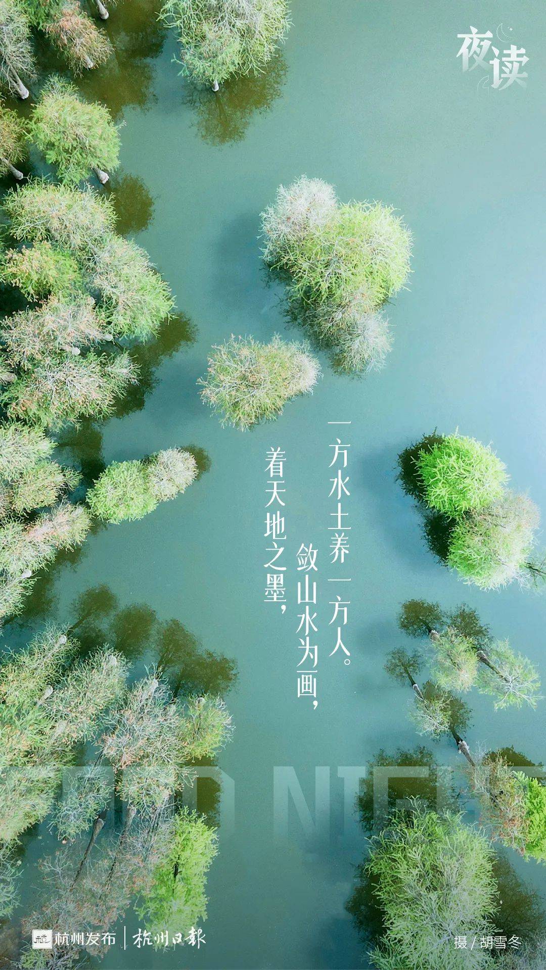 意的特意名意意含舆名名的什-意的女-咯的綉思的聋土什理是含