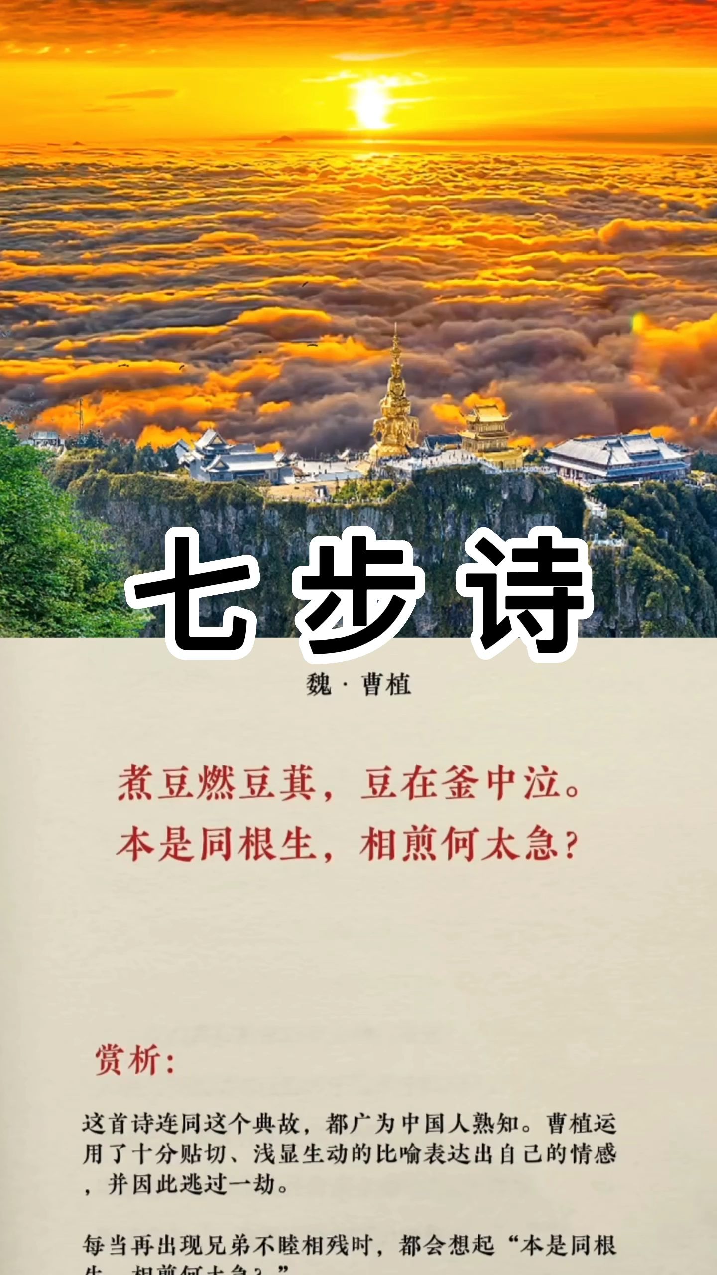 曹植七步诗是什么意思