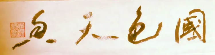 妍姿成语