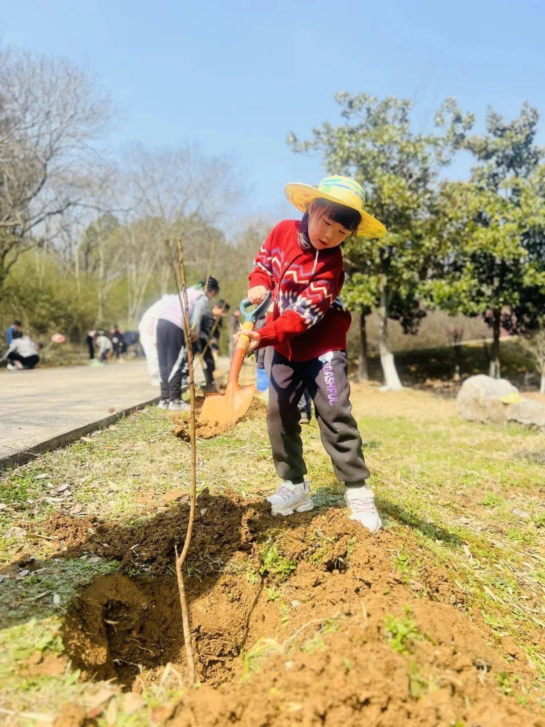 植树节是在什么时候三月,英语单词怎么写