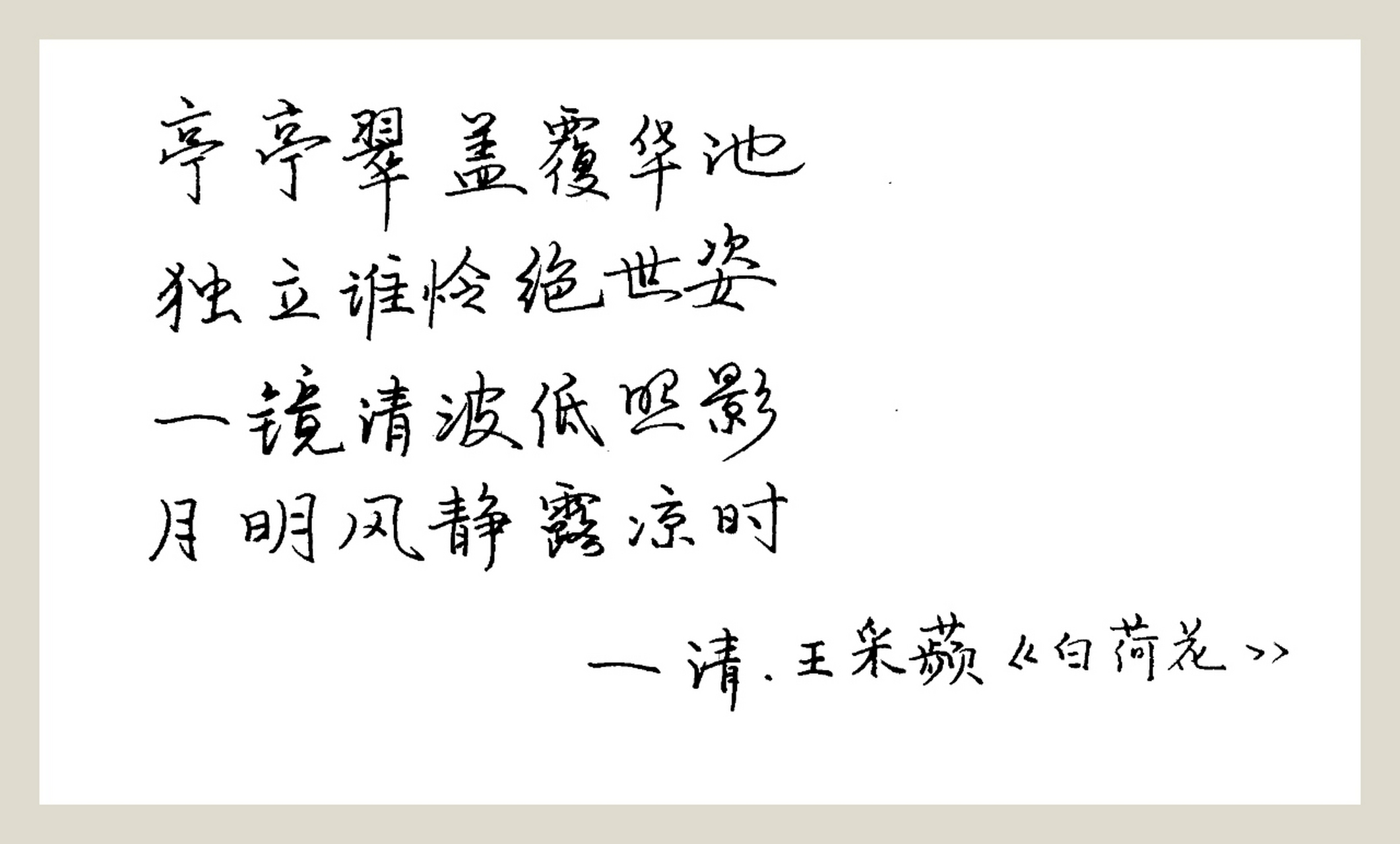 带有莲花的经典诗句是什么