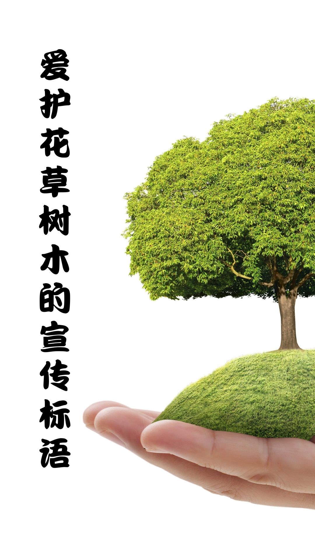 爱护花草树木应该做到哪些?