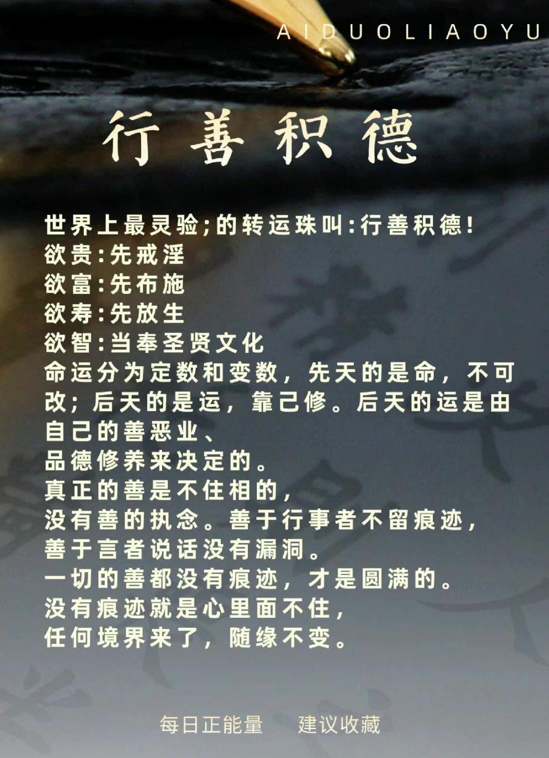关于善文化的内容有哪些