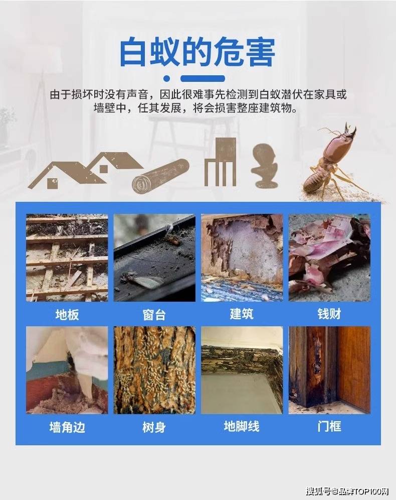 家里有了白蚁怎么办?如何消灭白蚁