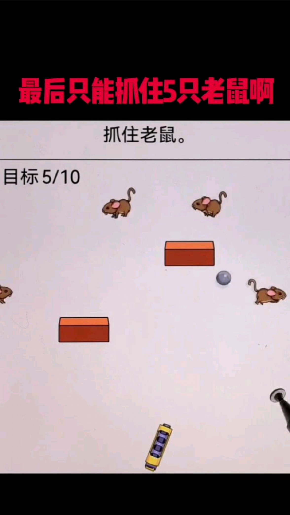 老鼠怎么捉在屋里