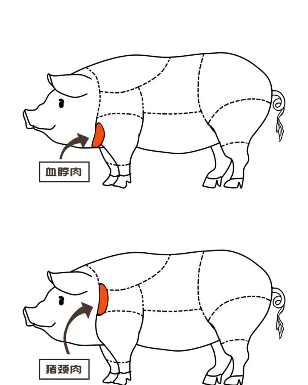 猪颈肉到底能不能吃,哪个部位的猪肉最安全?