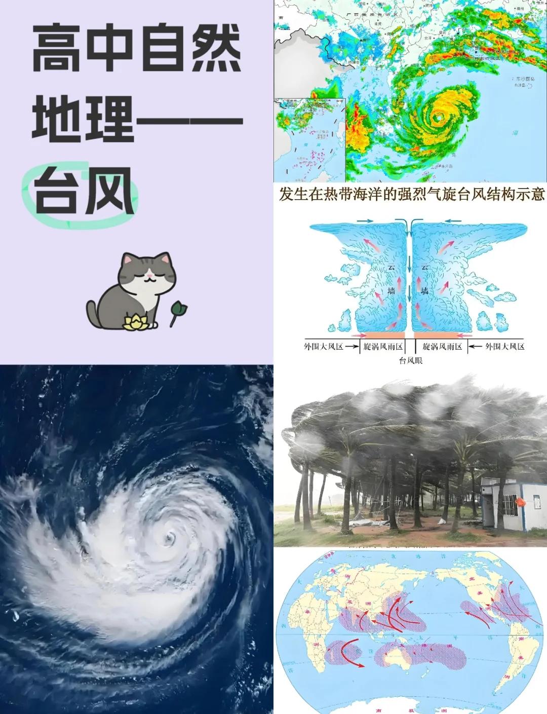 台风防御等级划分几个等级