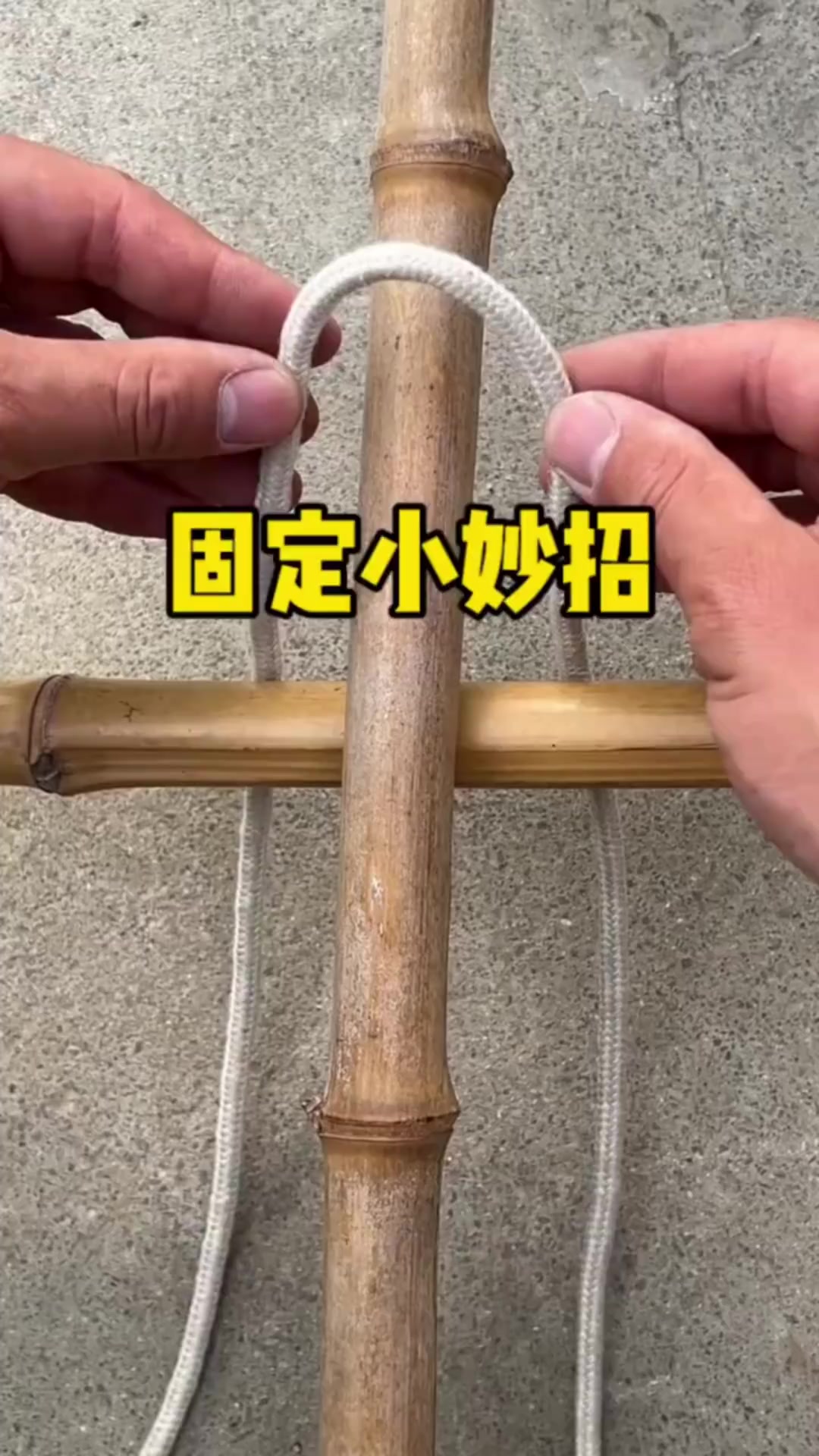 竹鸡绳套的使用方法