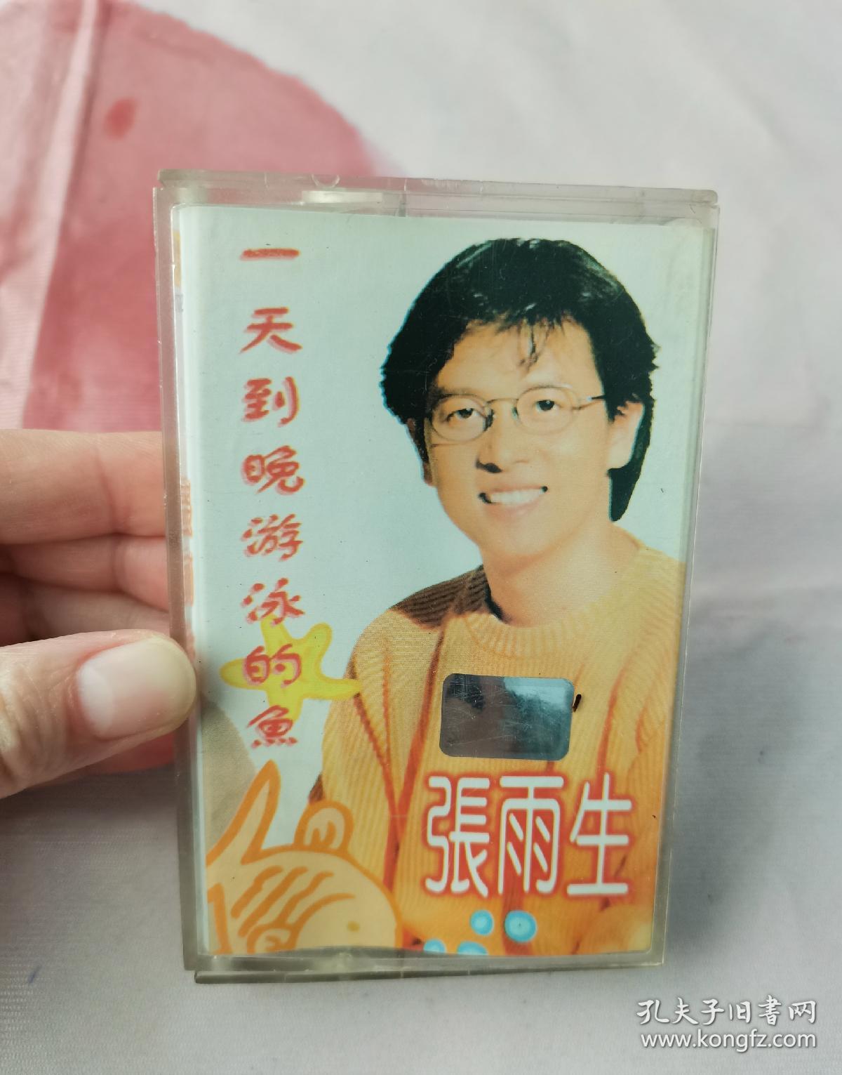 一天到晚游泳的鱼歌词表达含义