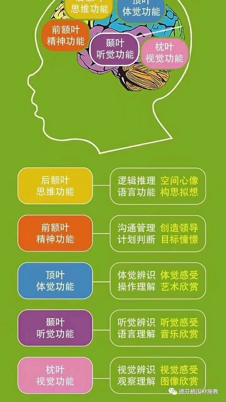 八岁男孩学什么特长好