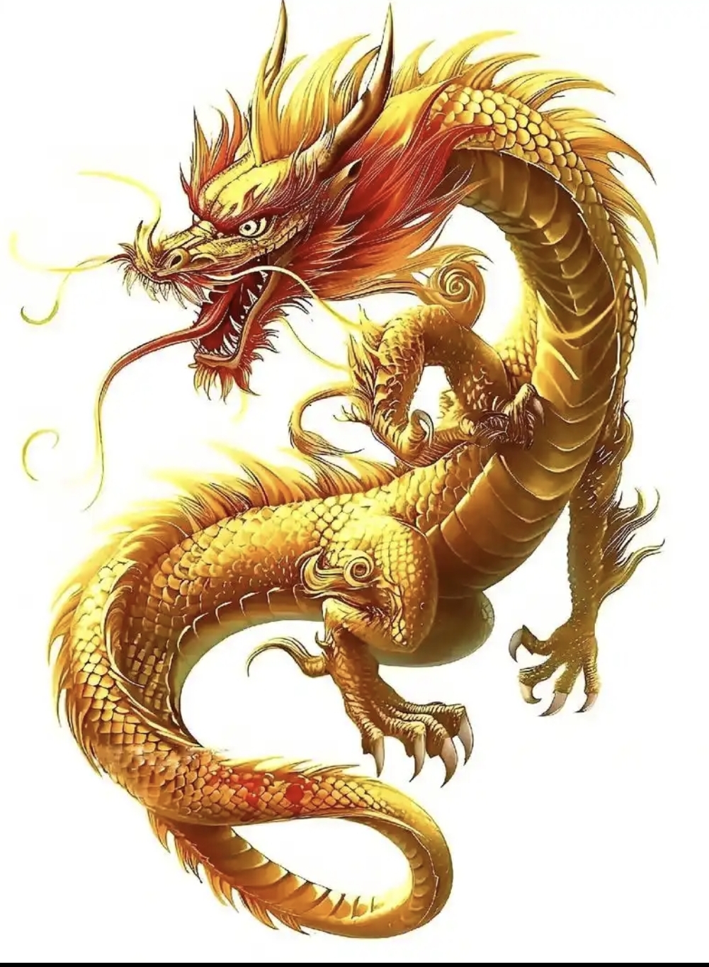 梦见龙在水里游是什么意思有什么预兆