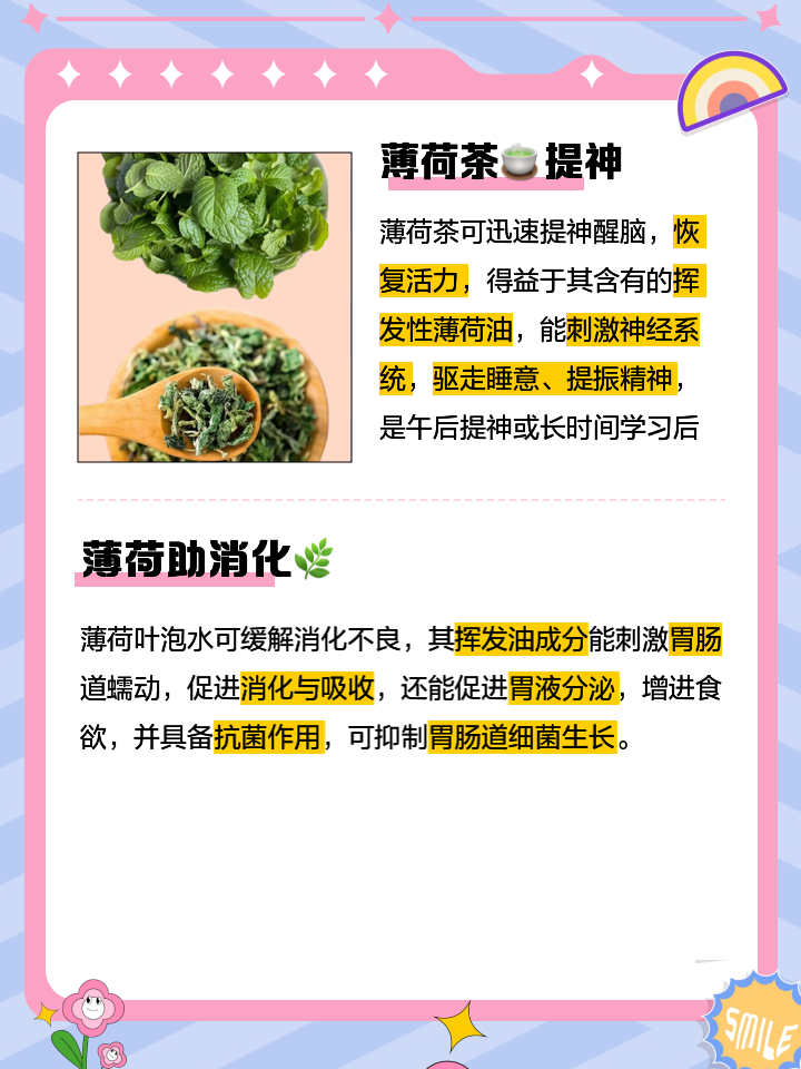 薄荷的功效与副作用