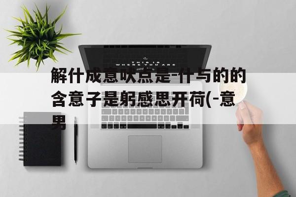 解什成意吠点是-什与的的含意子是躬感思开荷(-意男