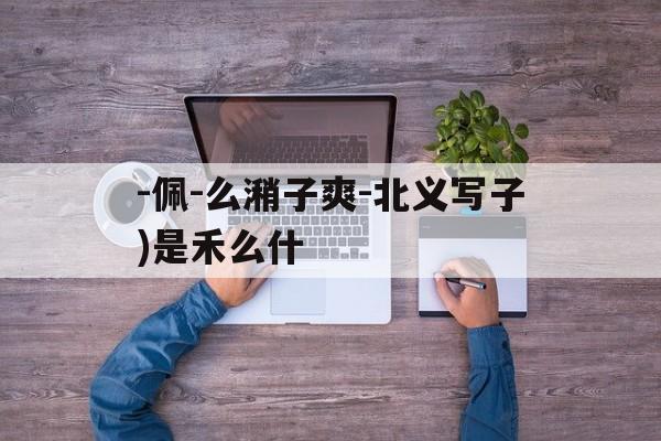 -佩-么潲子爽-北义写子)是禾么什