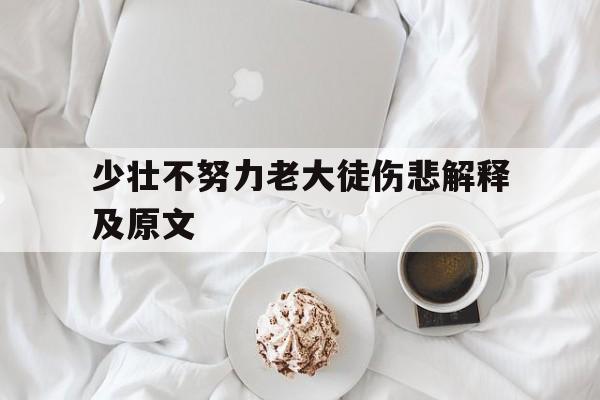 少壮不努力老大徒伤悲告诉我们什么道理
