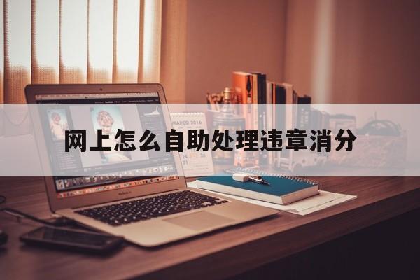 怎样网上处理违章扣分和罚款